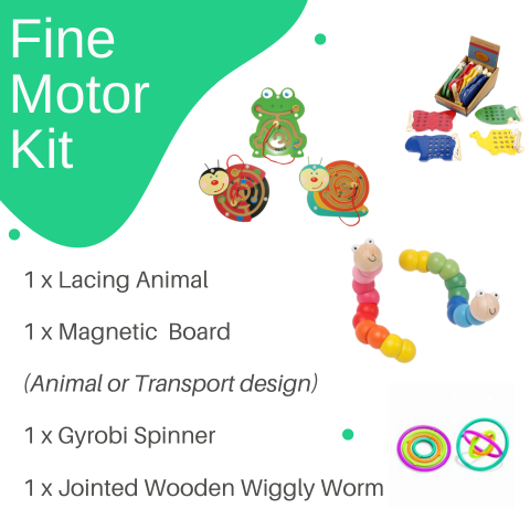 Fine Motor Kit