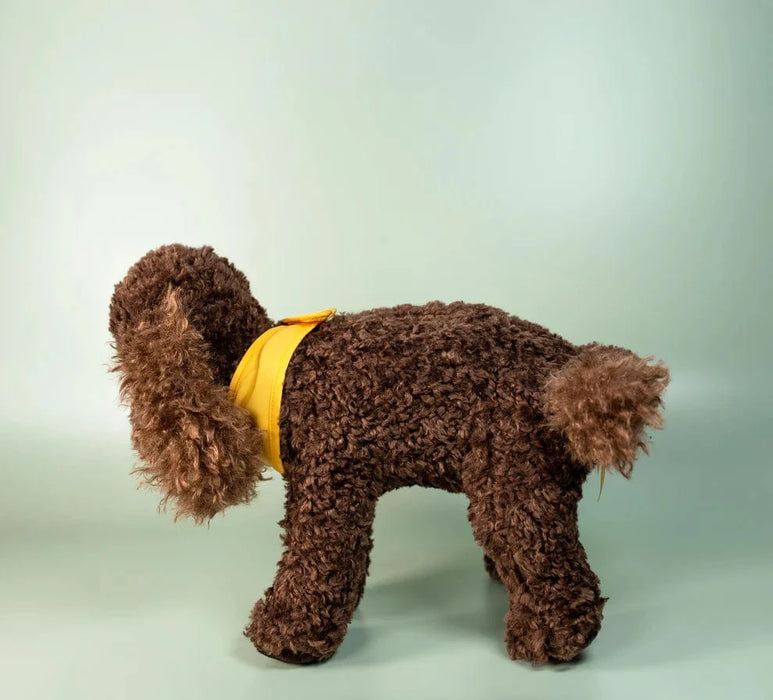 Kitty & Raffy Plush Comfort Me Raffy™ Soothing Talking Plush Companion