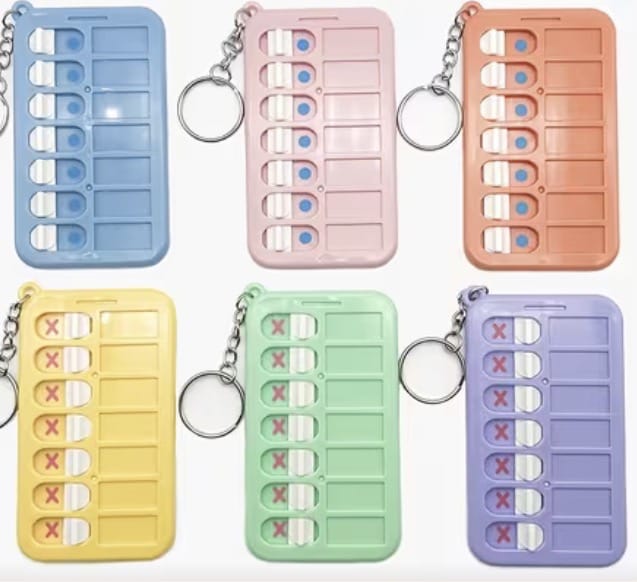 Temu Planner Purple Keychain Routine/Reminder
